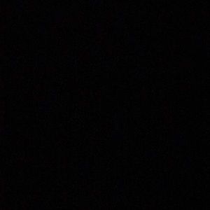 Meet your Posher, Ricky